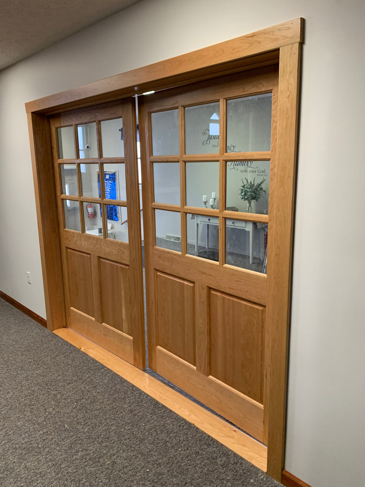 Raised Panel 9 Lite Door