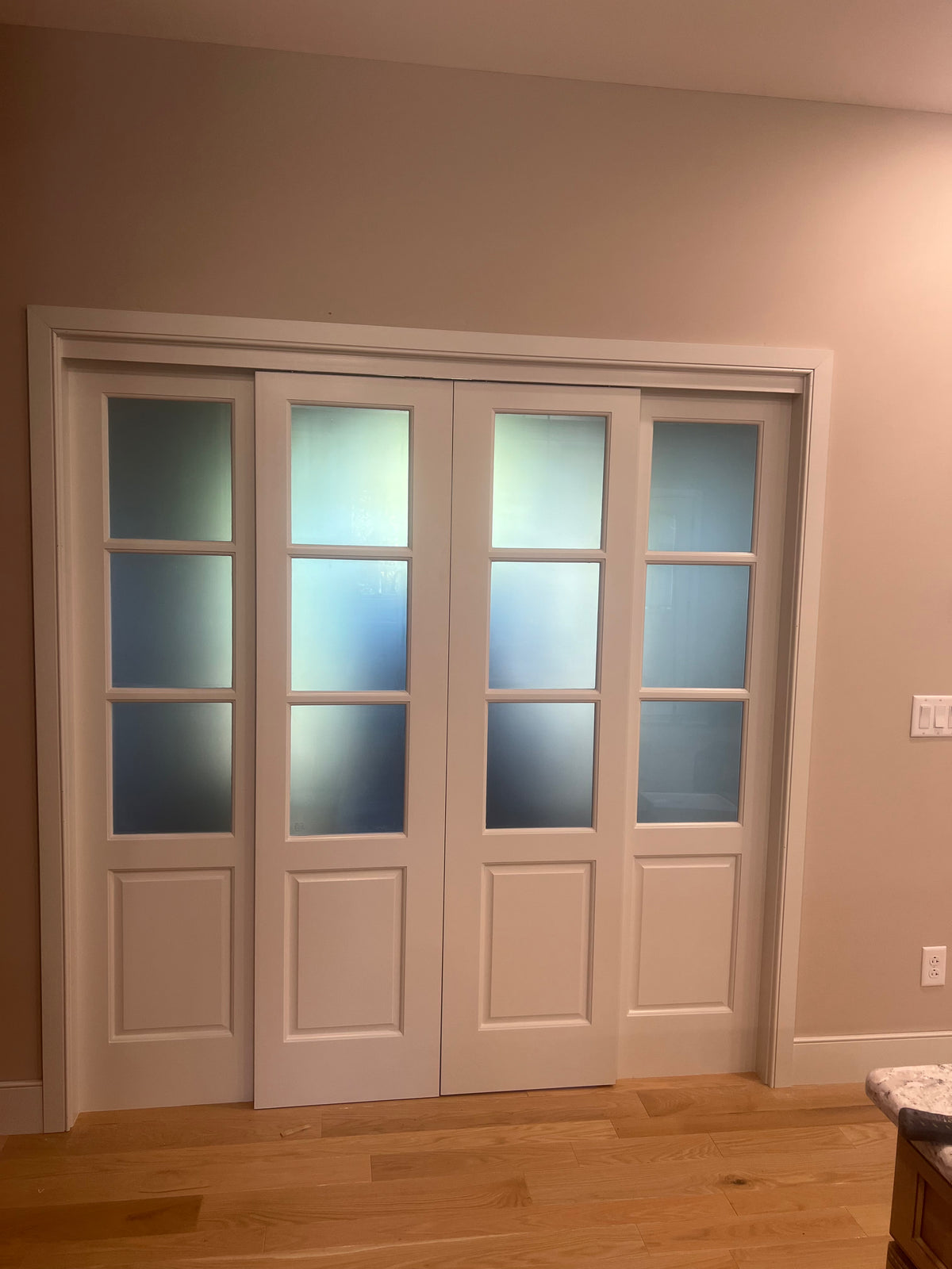 Frosted Glass Vestibule Door set